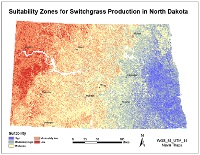 Switchgrass Suitability