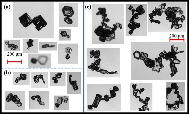 PHIPS images of chain aggregates