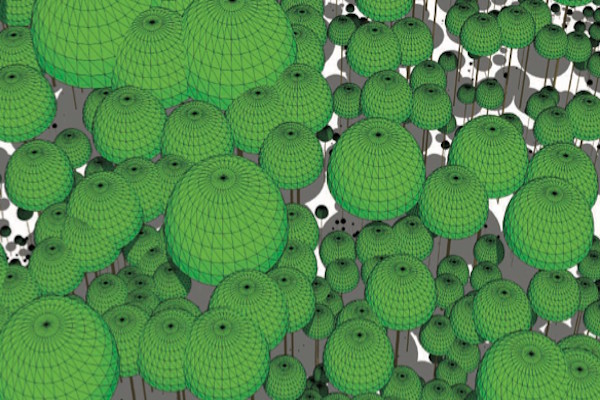 Computational Ecology, Macrosystems, & Emergent Patterns