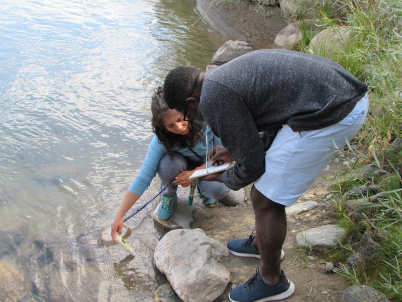 Students collecting water quality measurements