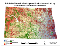 Switchgrass Suitability